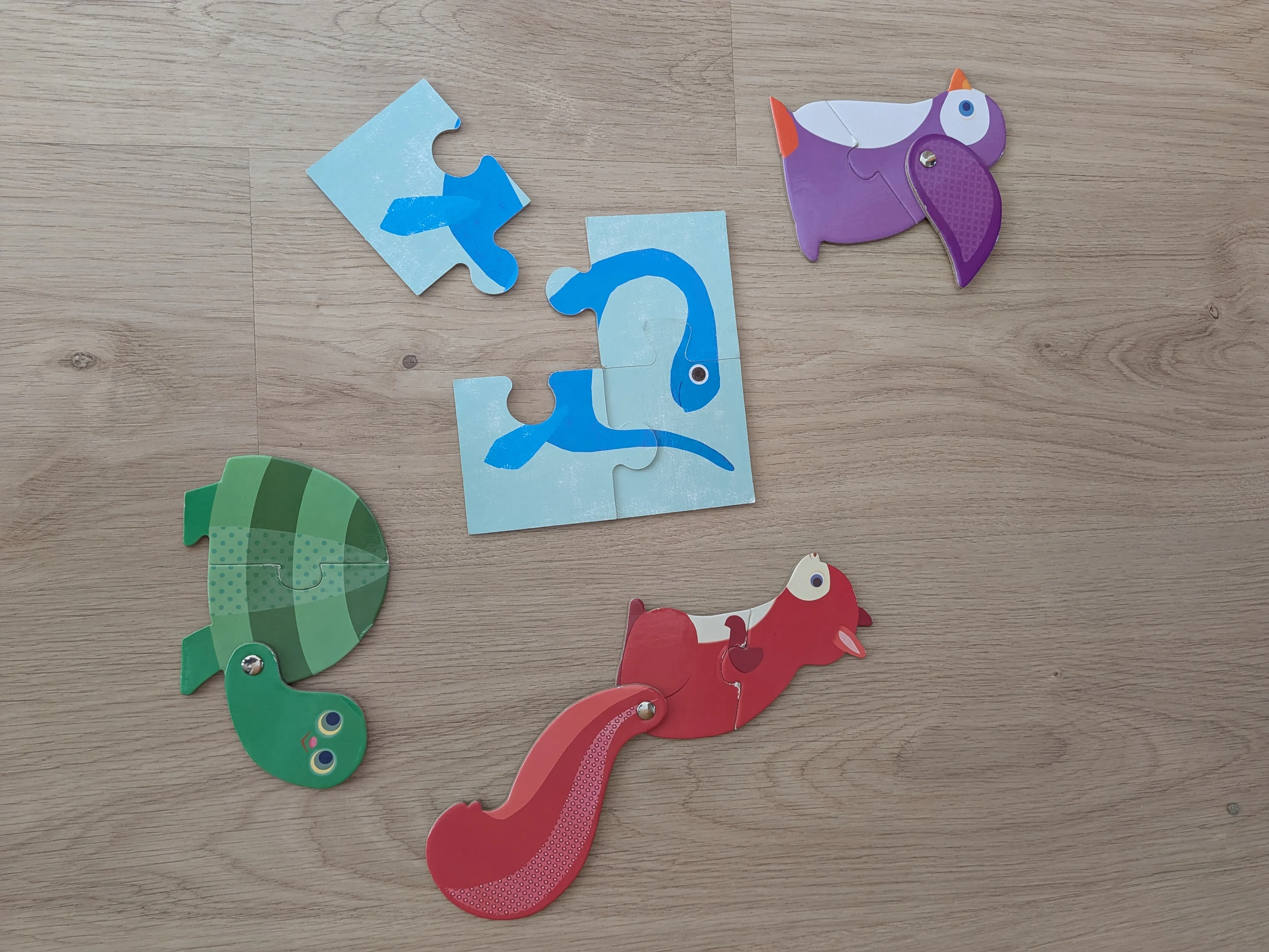Puzzles de dos y tres piezas montados sobre el suelo: un tucán, un camaleón, una ardilla y un pájaro azul